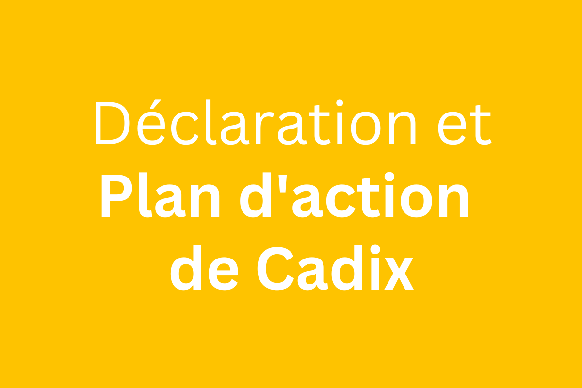 La Déclaration et le Plan d'action de Cadix