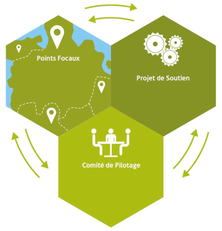 acteurs titre processus rabat
